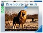 Puzzle 1500 pièces – Le Lion, le roi des animaux