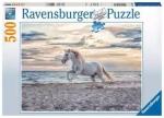 Puzzle 500 pièces – Cheval sur la plage